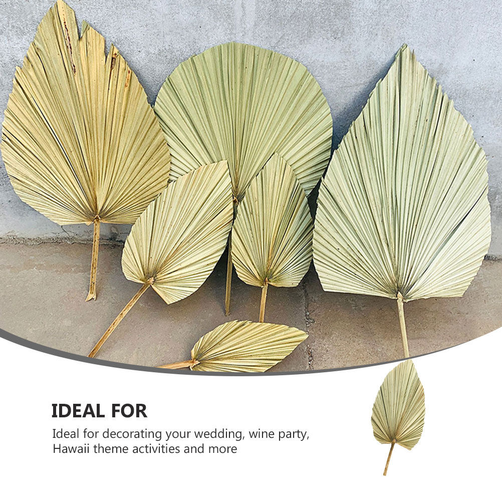 Palm Leaf Dried - 1개입, 생생한 색상의 야자수 잎 장식,