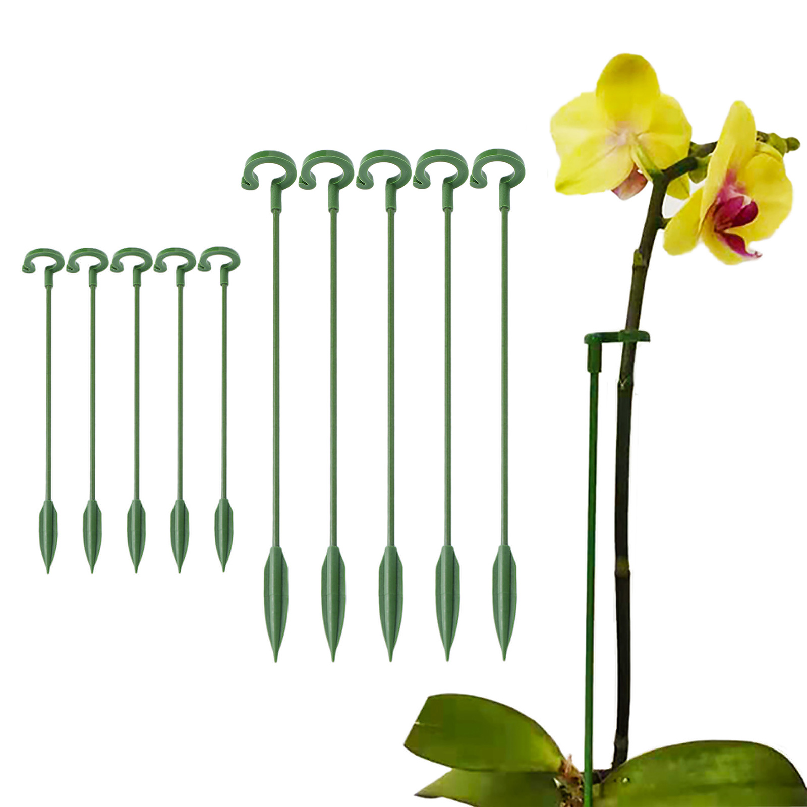 Florist Supp - 5개의 링이 있는 식물 지지대 17/37cm