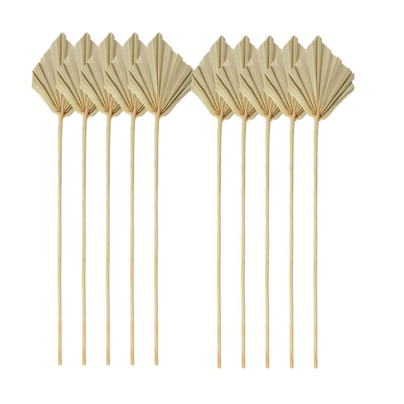 Palm Leaf Dried - A04G-보헤미안 스타일 건조 야자수 장식 소형