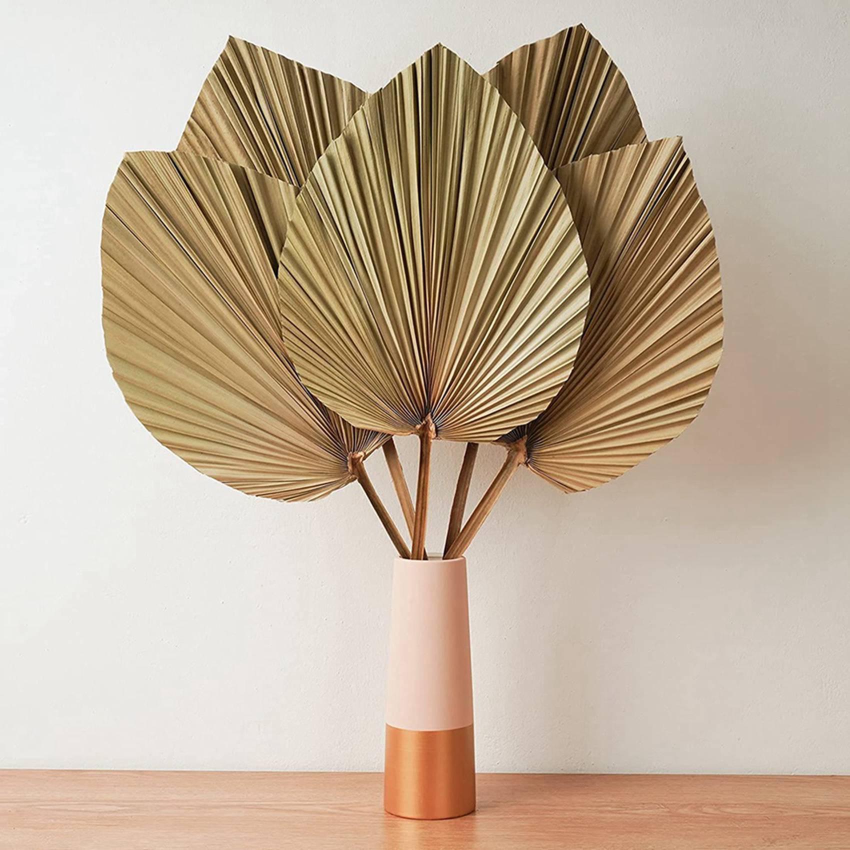 Palm Leaf Dried - 건조 야자수 잎 장식 10개 -