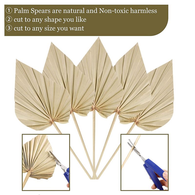 80개 보헤미안 스타일 건조 야자수 잎, 작은 건조 천 - Palm Leaf Dried 리뷰 및 가격