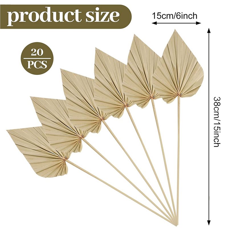 80개 보헤미안 스타일 건조 야자수 잎, 작은 건조 천 - Palm Leaf Dried 리뷰 및 가격