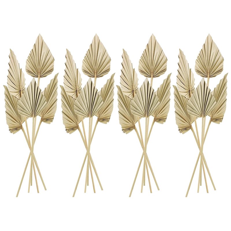 80개 보헤미안 스타일 건조 야자수 잎, 작은 건조 천 - Palm Leaf Dried 리뷰 및 가격