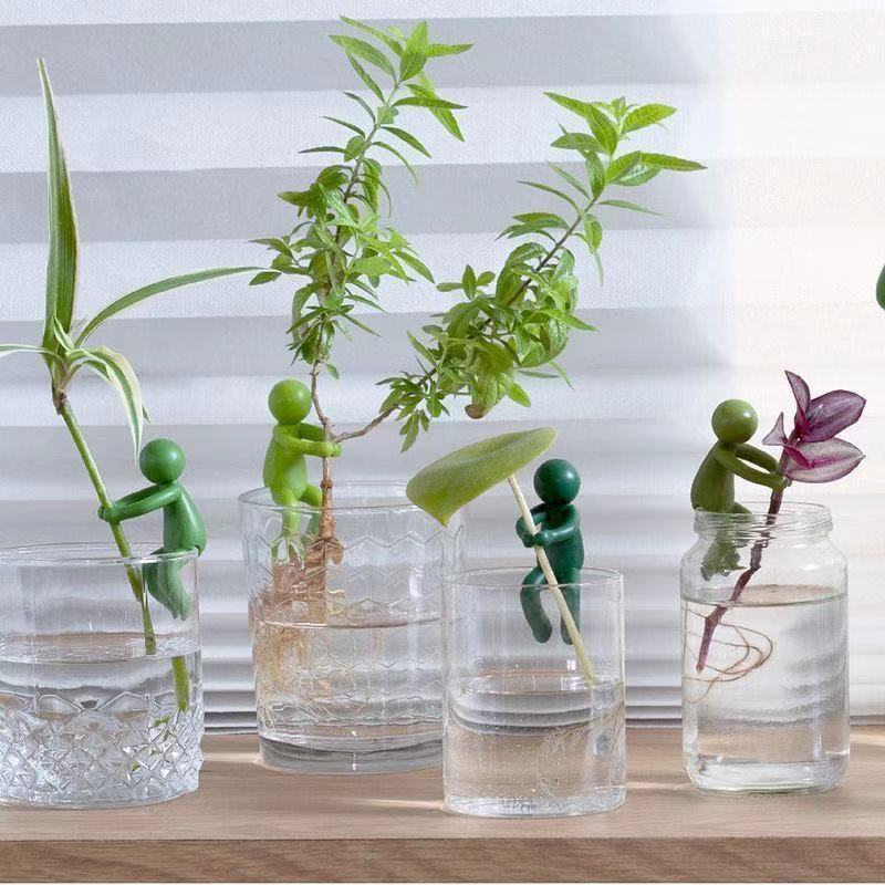 수경 재배 식물 고정 장식품 직립 식물 지지대 장식 사 - Florist Supp 리뷰 및 가격