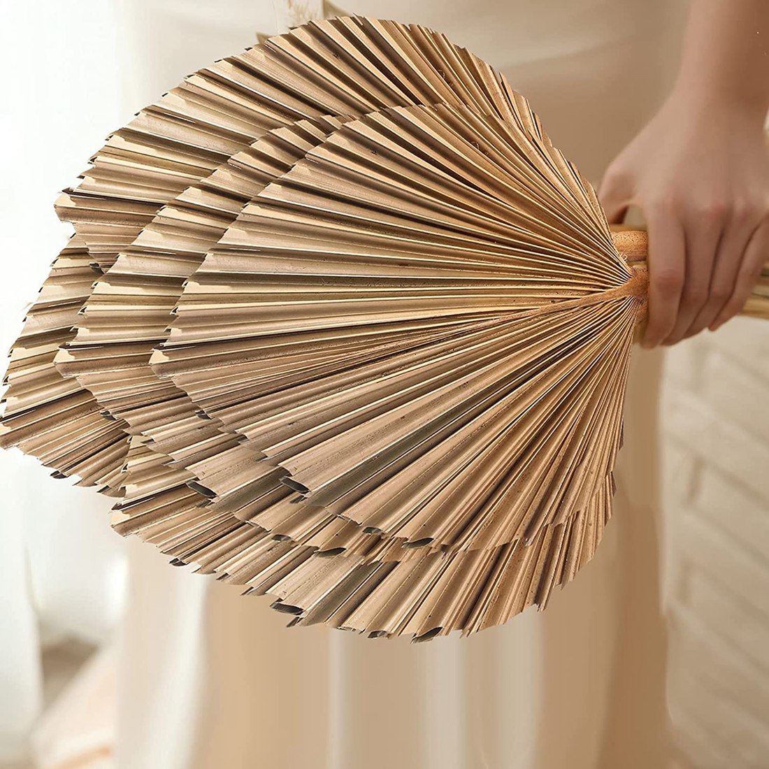 자연 건조 팜 잎 열대 건조 팜 팬, 보호 건조 잎 장 - Palm Leaf Dried 리뷰 및 가격