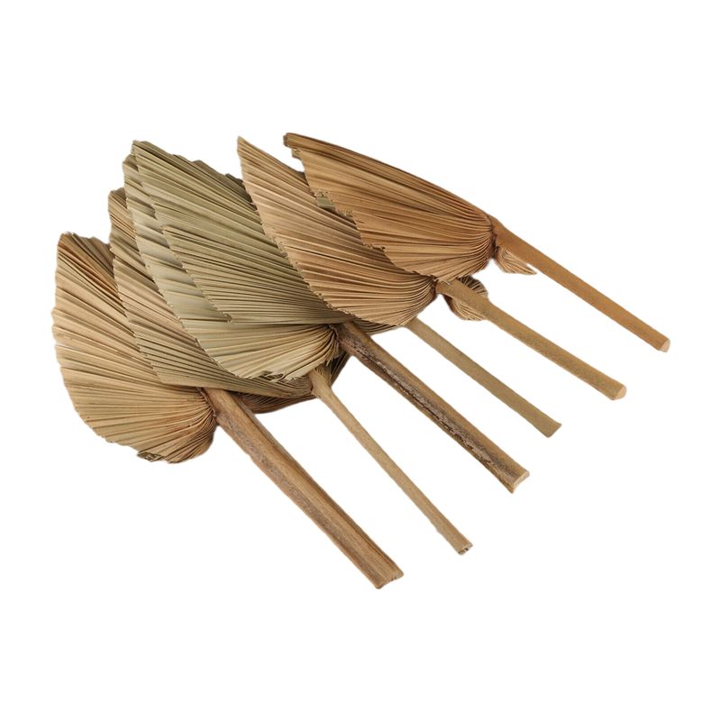 AT84-6PCS 건조 야자잎 천연 건조 야자잎 부채, - Palm Leaf Dried 리뷰 및 가격