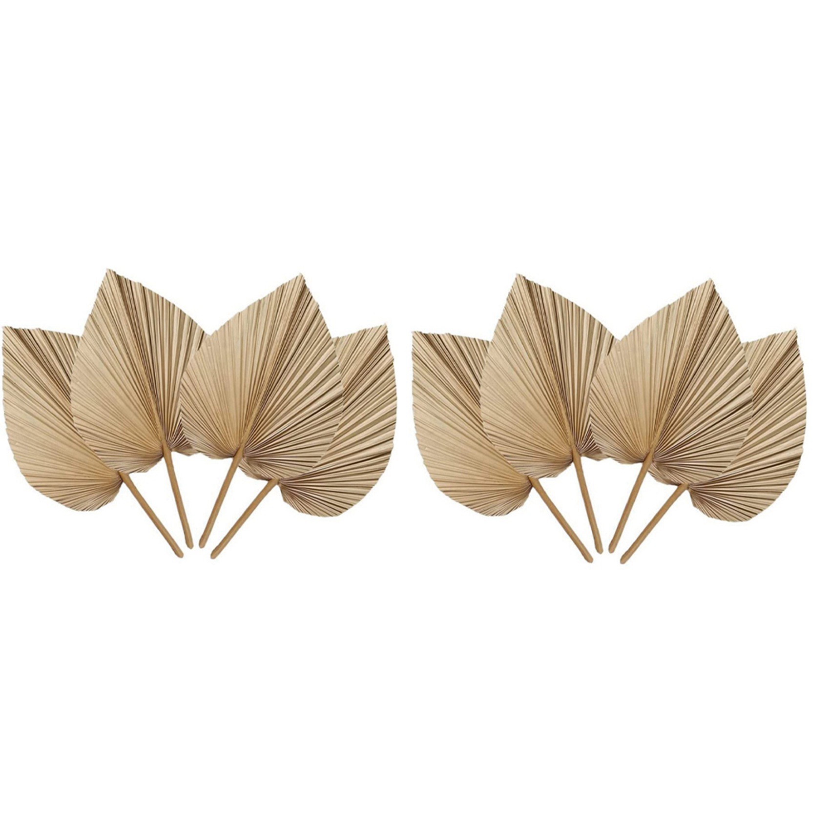 AT02-8 천연 건조 야자수 잎은 야자수 잎 장식,  - Palm Leaf Dried 리뷰 및 가격