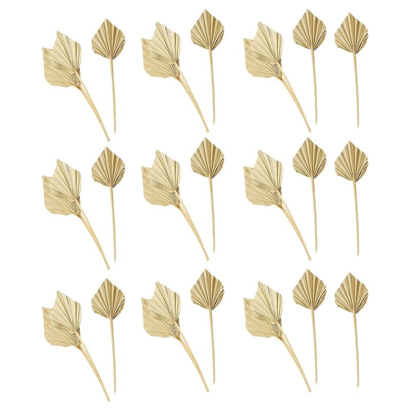 AS60-30개 보헤미안 스타일 건조 야자수 화살, 천 - Palm Leaf Dried 리뷰 및 가격