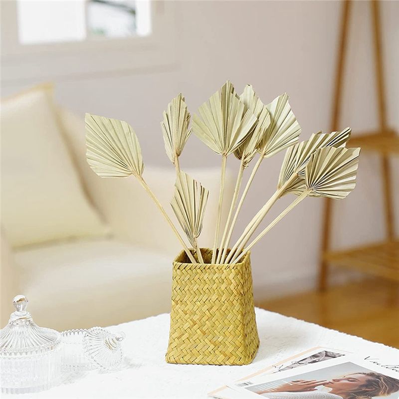AS60-30개 보헤미안 스타일 건조 야자수 화살, 천 - Palm Leaf Dried 리뷰 및 가격