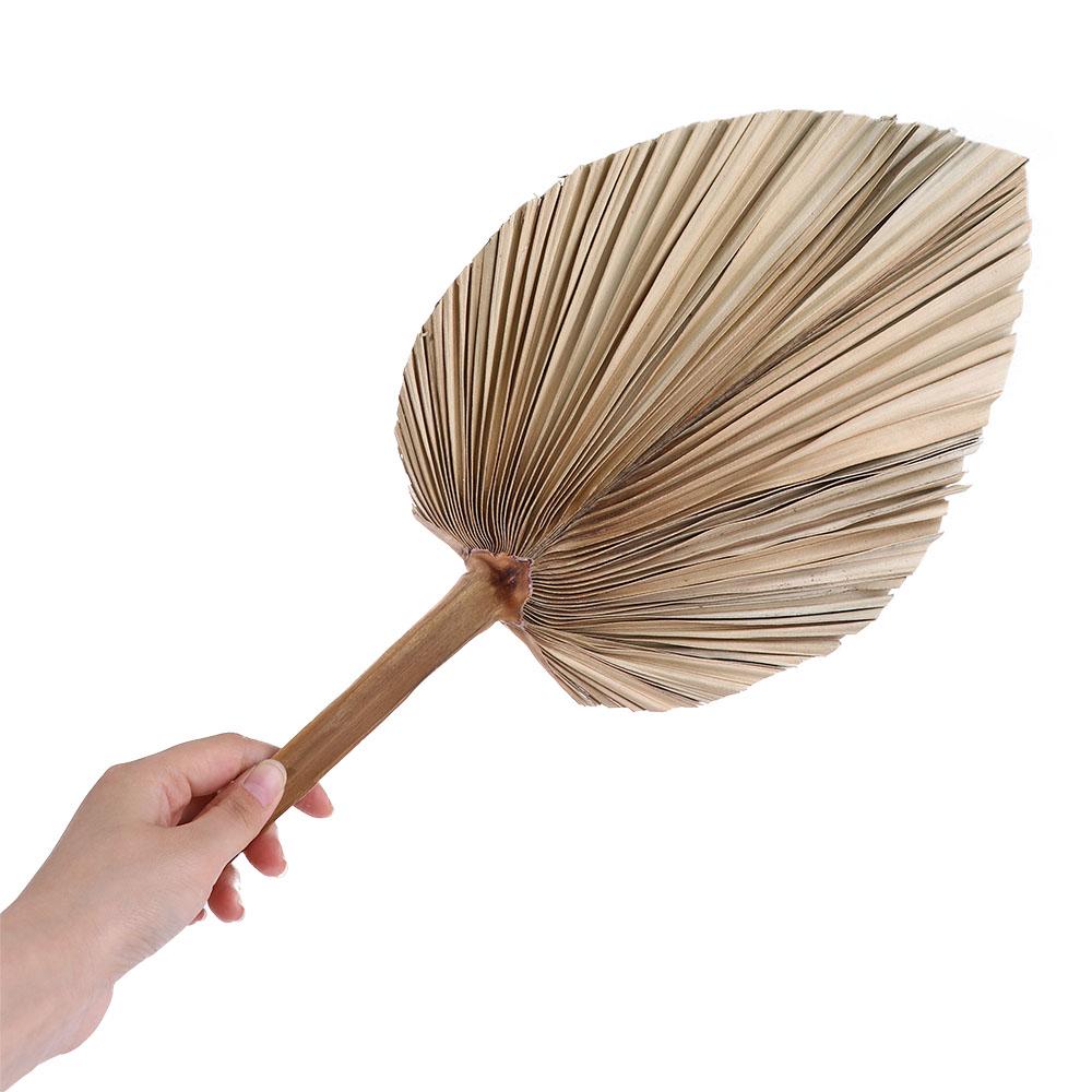 파티 오피스 보헤미안 스타일 장식 천연 야자수 손잎 팬 - Palm Leaf Dried 리뷰 및 가격