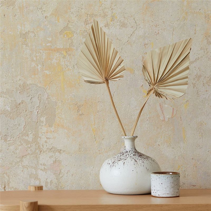 A04G-보헤미안 스타일 건조 야자수 장식 소형 천연  - Palm Leaf Dried 리뷰 및 가격